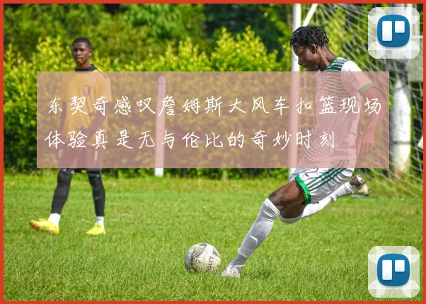 东契奇感叹詹姆斯大风车扣篮现场体验真是无与伦比的奇妙时刻